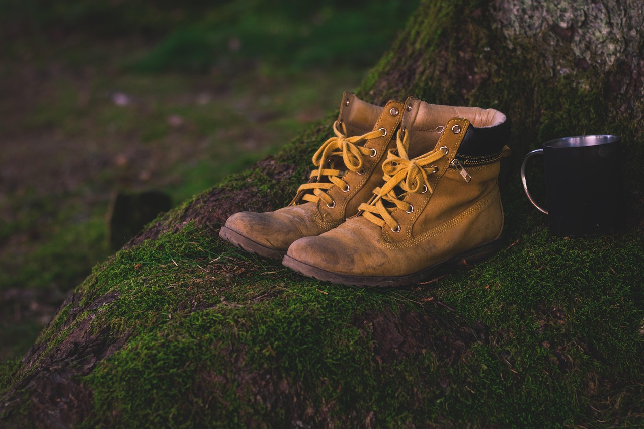 chaussures de randonnée dans la forêt